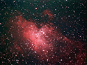 M16
