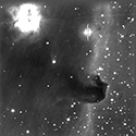 Horsehead.jpg (17603 bytes)