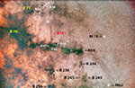 Barnard 181 and environs