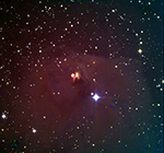 NGC1555, labeled image