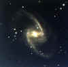 ngc1365.jpg (24592 bytes)