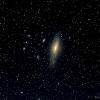 NGC7331