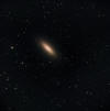 NGC3115